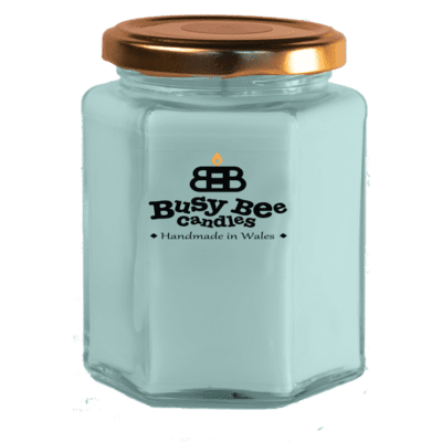 Coconut Breeze Large Candle
