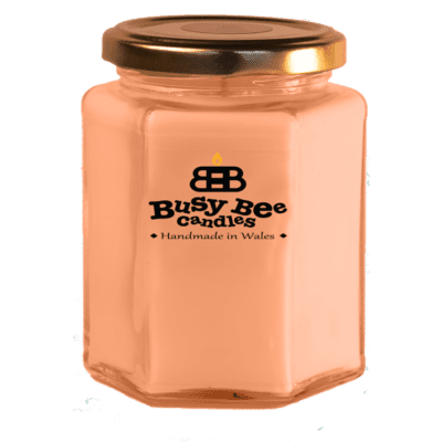 Mango & Papaya Smoothie Large Candle