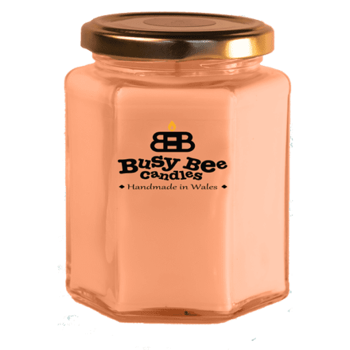 Mango & Papaya Smoothie Large Candle
