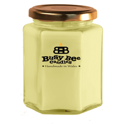 Strudel and Spice Large Candle