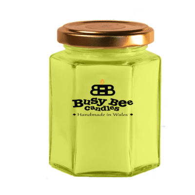 Sage and Pomegranate Medium Candle