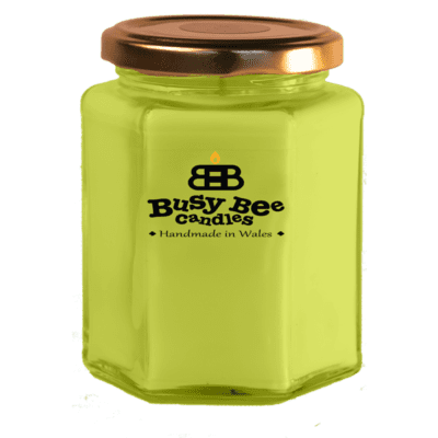 Sage and Pomegranate Large Candle