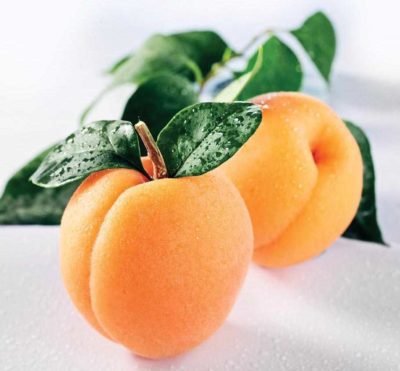 Apricot Lush Small Candle