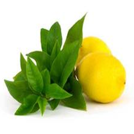 Lemon Verbena Small Elegance Candle