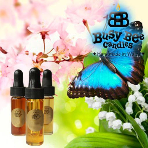 Butterfly Hugs Fragrance Oil