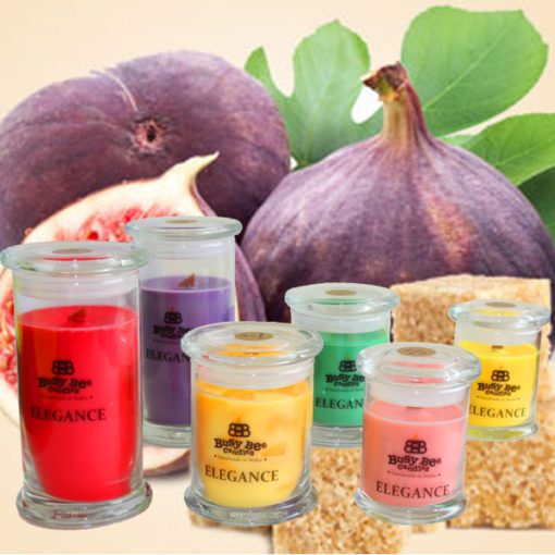 Sugared Figs Medium Elegance Candle