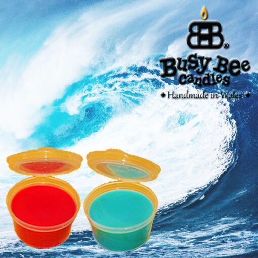 Pacific Breeze Wax Tart